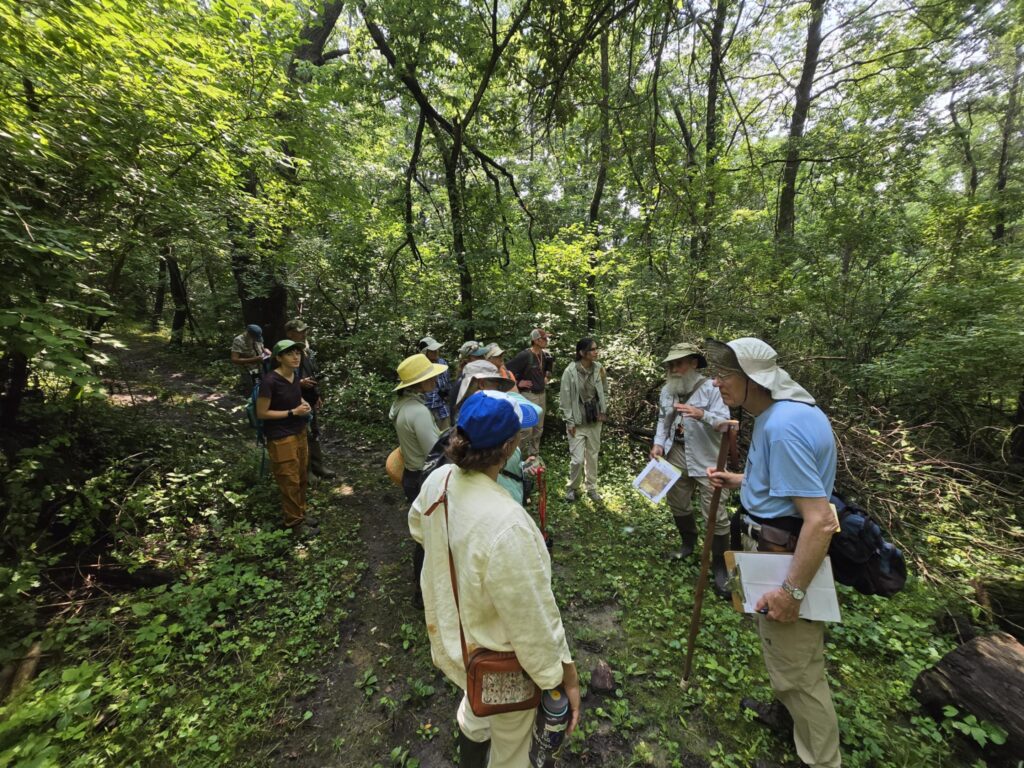 Tom Rosburg discussing the differences between white and red mulberry trees to attendees.