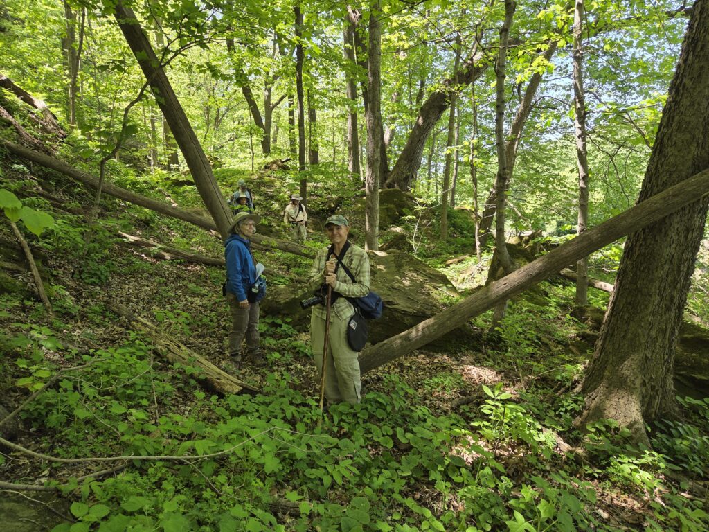 Two field trip attendees in the woodland.
