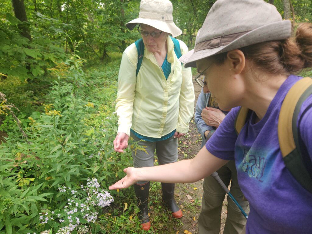 Two females look at small purple aster flowers.
